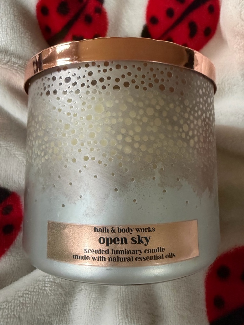 Bath & Body Works OPEN SKY 3-Wick Large Scented Candle 14.5 oz READ